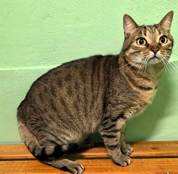 AKIRA E KELLY DALLA CASA AL GATTILE Foto 2